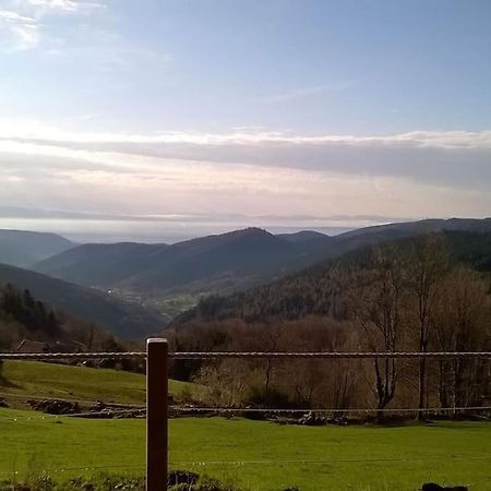 Un Coin De Montagne Apartman Linthal Kültér fotó