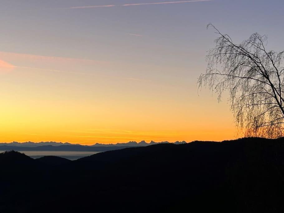 Un Coin De Montagne Apartman Linthal Kültér fotó