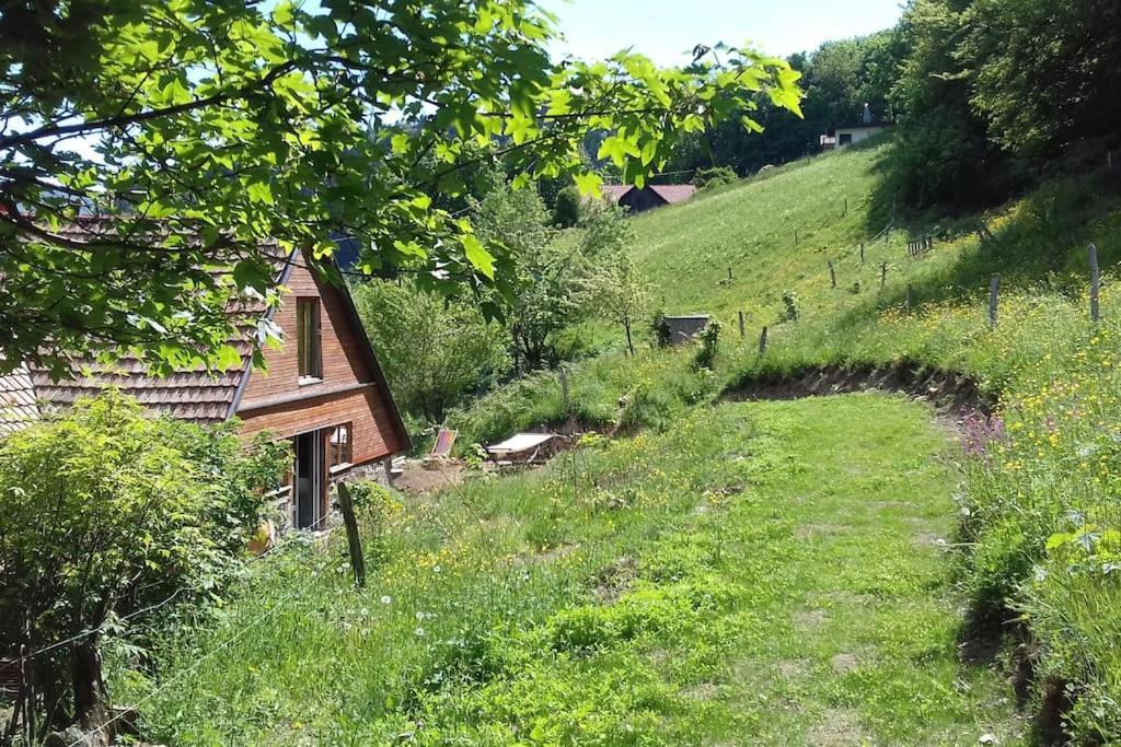 Un Coin De Montagne Apartman Linthal Kültér fotó
