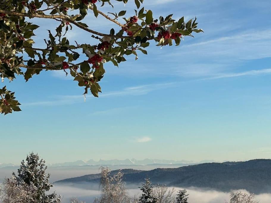 Un Coin De Montagne Apartman Linthal Kültér fotó