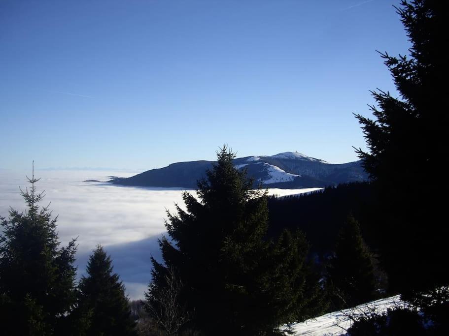 Un Coin De Montagne Apartman Linthal Kültér fotó